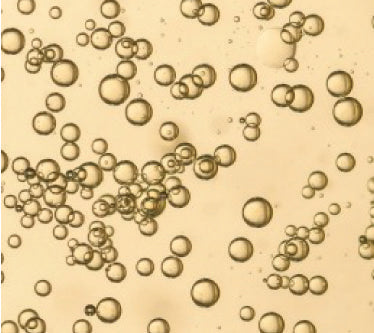 BUBBLES wines